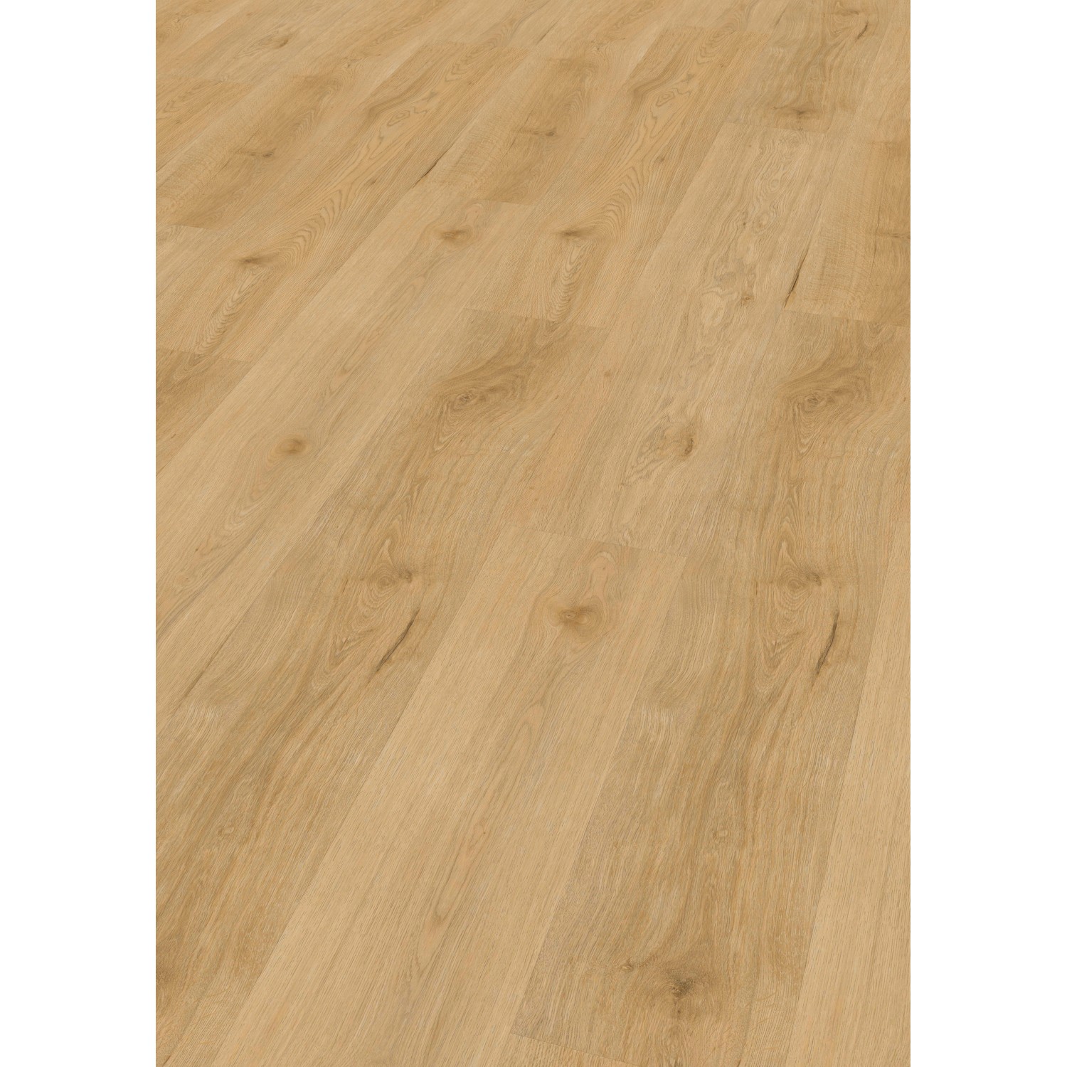 Check Click-Vinylboden Comfort Frontera Eiche Check Click-Vinylboden Comfort Frontera Eiche von Check