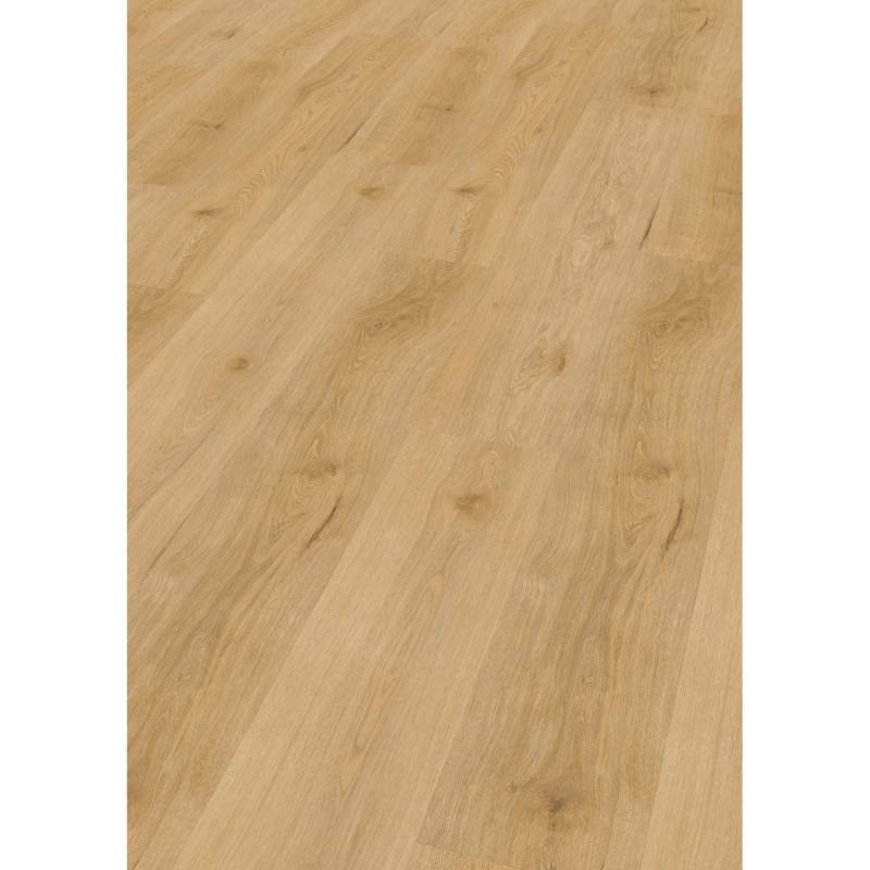Check Click-Vinylboden Comfort Frontera Eiche von Check