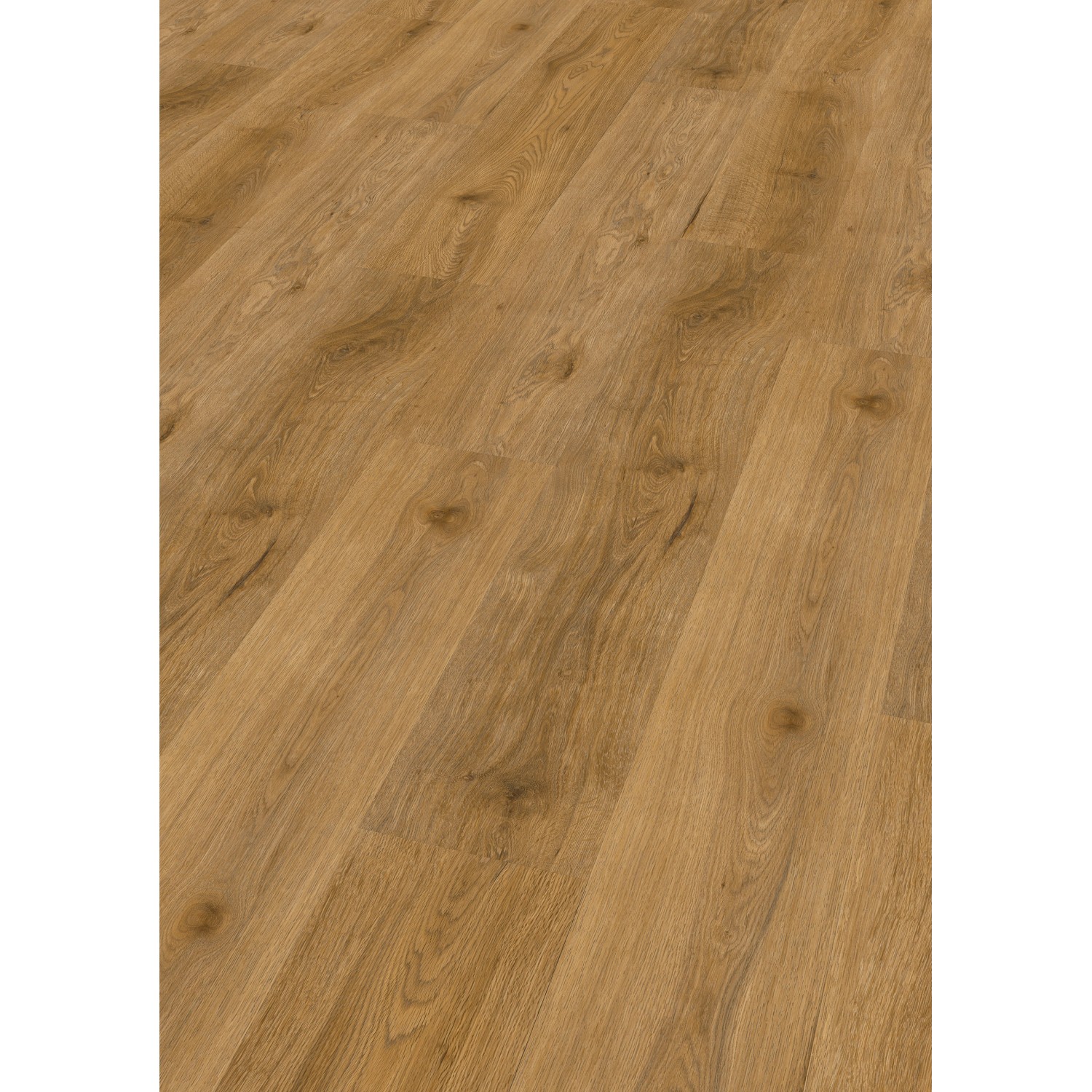 Check Click-Vinylboden Comfort Seva Eiche Check Click-Vinylboden Comfort Seva Eiche von Check