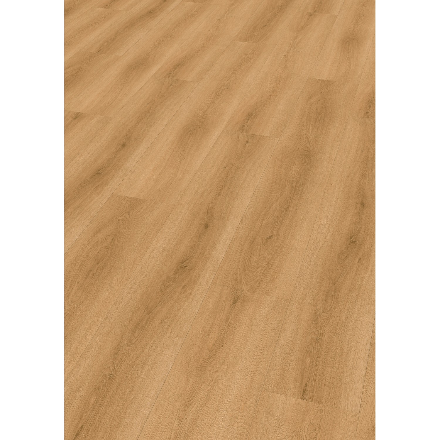 Check Click-Vinylboden Comfort Tordera Eiche Check Click-Vinylboden Comfort Tordera Eiche von Check
