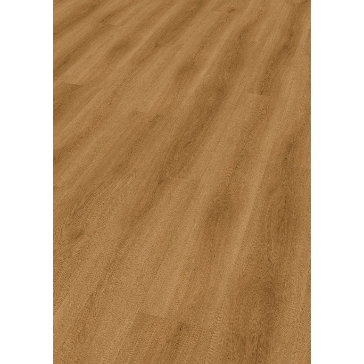 Check Klebe-Vinylboden Expert Albera Eiche Check Klebe-Vinylboden Expert Albera Eiche von Check