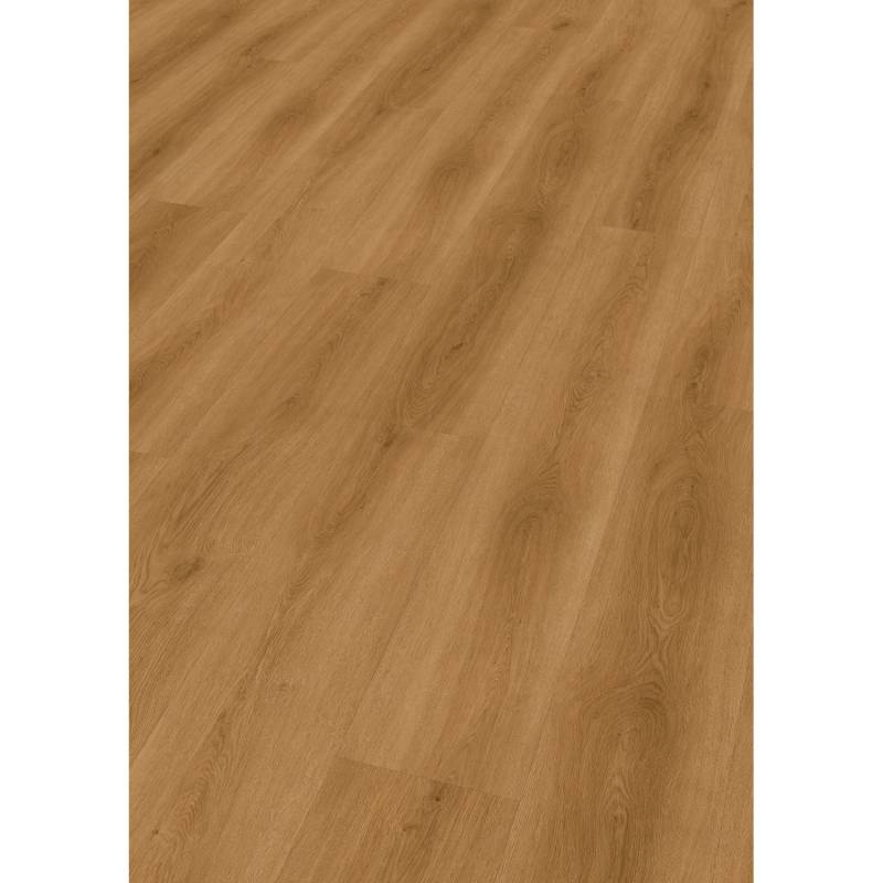 Check Klebe-Vinylboden Expert Albera Eiche von Check