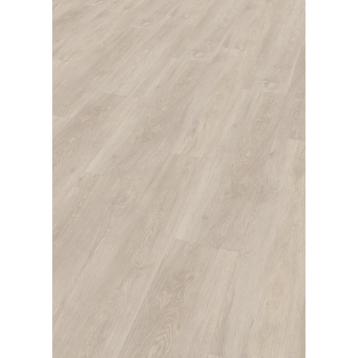 Check Klebe-Vinylboden Expert Bonifacius Eiche Check Klebe-Vinylboden Expert Bonifacius Eiche von Check