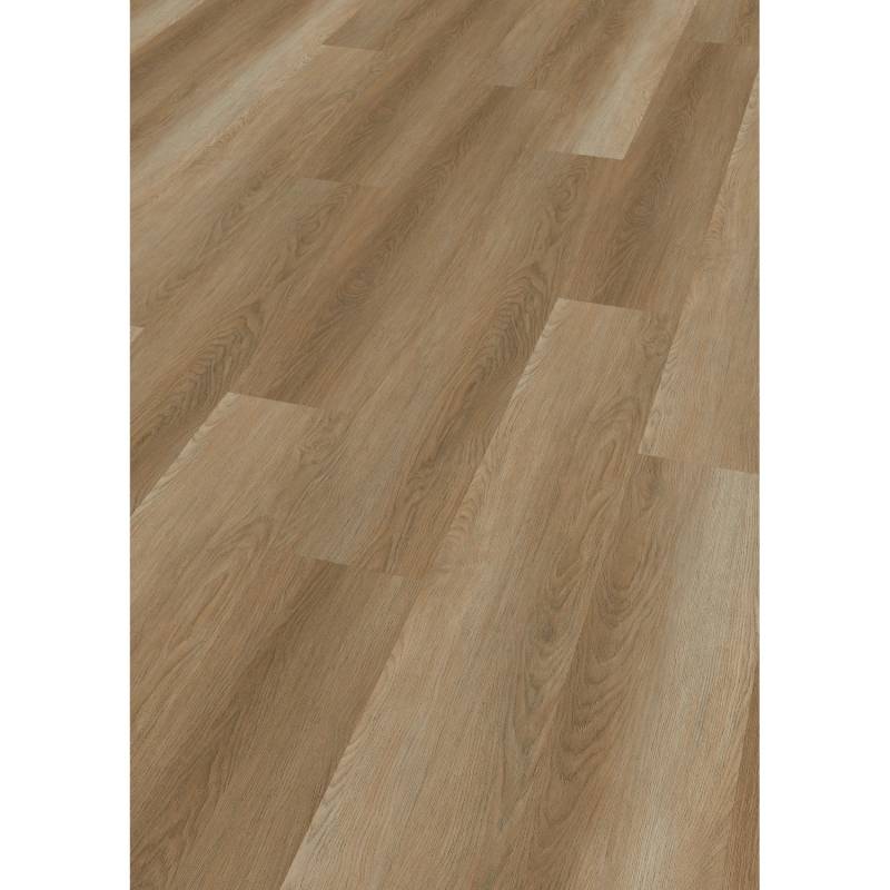 Check Klebe-Vinylboden Expert Gavarres Eiche von Check