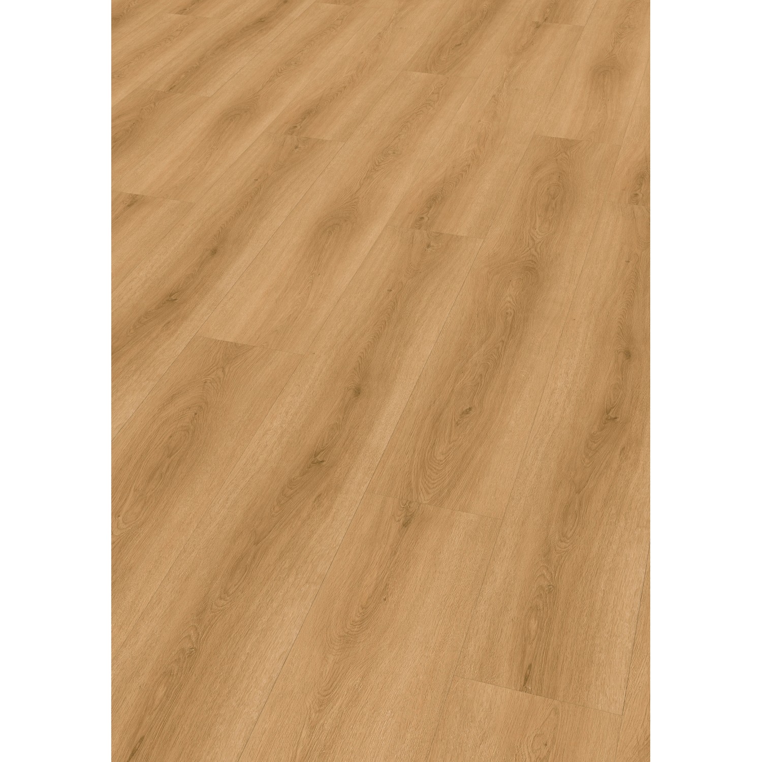 Check Klebe-Vinylboden Expert Tordera Eiche Check Klebe-Vinylboden Expert Tordera Eiche von Check