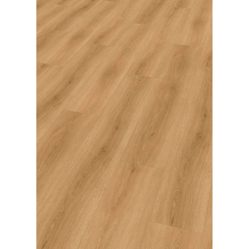 Check Klebe-Vinylboden Expert Tordera Eiche von Check