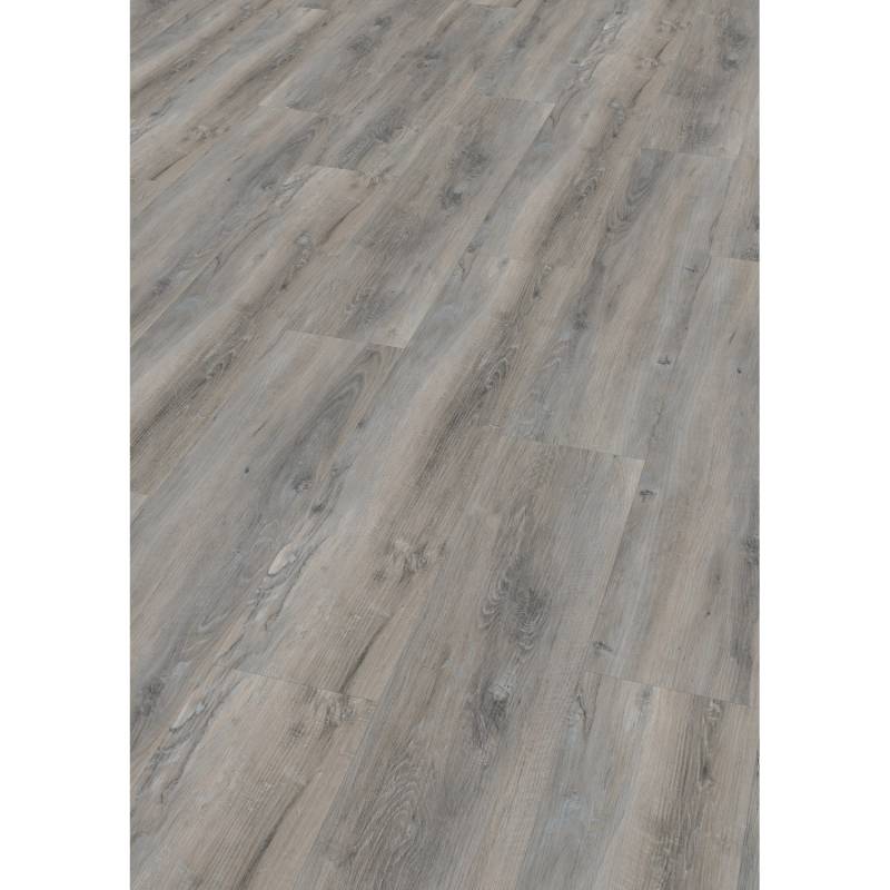 Check Klebe-Vinylboden Expert Vondern Eiche von Check