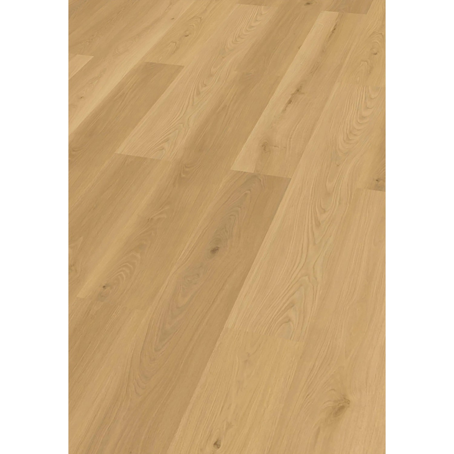 Check One Click-Vinylboden Buchäcker Oak Check One Click-Vinylboden Buchäcker Oak von Check