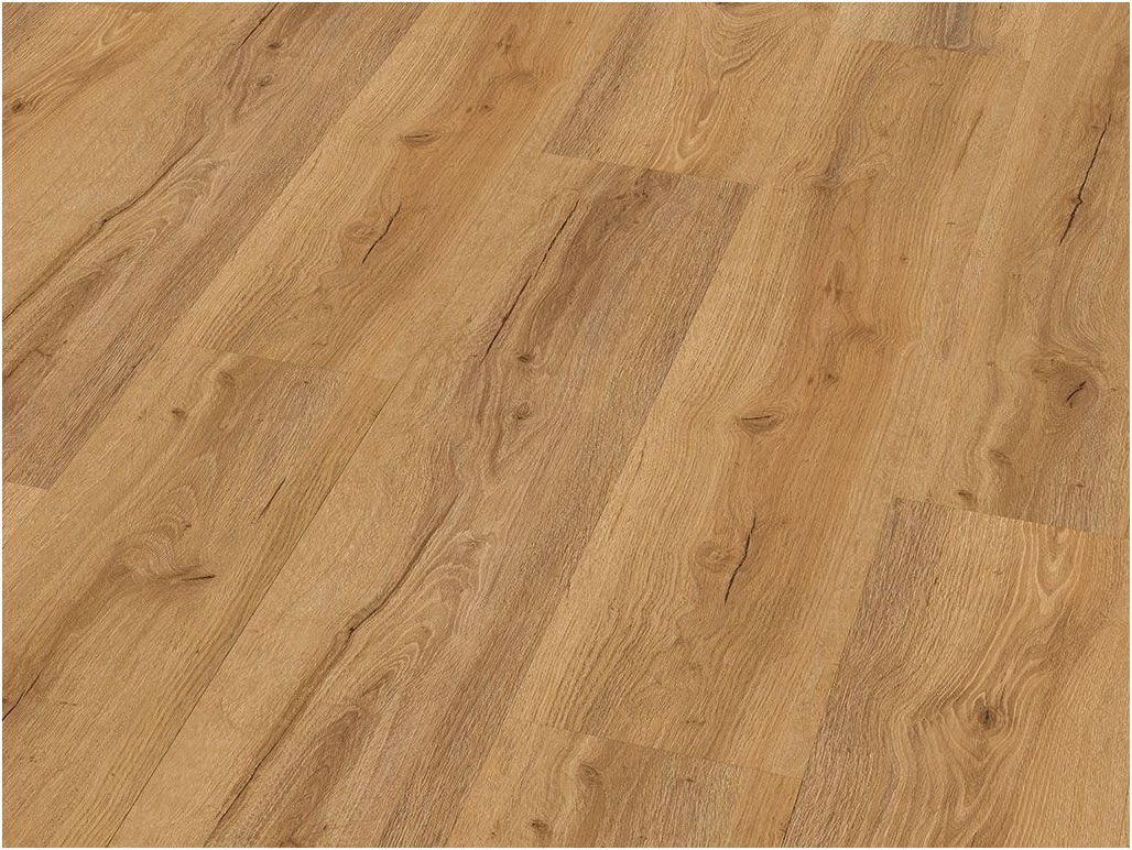 Check Vinylboden Click-Vinyl CHECK comfort 2507 Agullana Oak Breit inkl Trittschall von Check