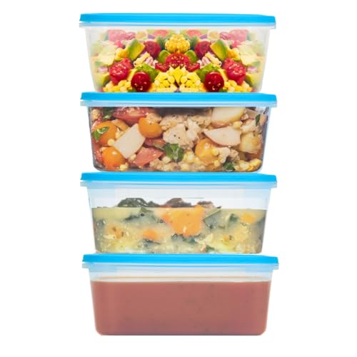 Checkmart Frischhaltedosen-Set, 3 l, luftdichte Lebensmittelboxen mit Schnappdeckel, spülmaschinenfest, mikrowellengeeignet, gefriergeeignet, BPA-frei, 4 Stück von Checkmart