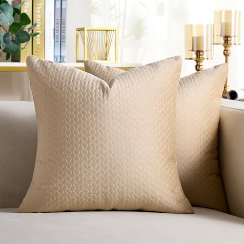 Cheekywares Kissenbezug 50 x 50 cm Beige Sofakissen Samt mit Weizenähren Textur Dekokissenbezug Herbst Winter Kissenbezüge Luxuriös Boho Deko für Sofa Schlafzimmer Wohnzimmer Balkon 2er Set von Cheekywares
