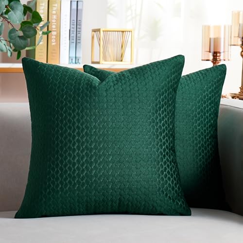 Cheekywares Kissenbezug Grün Dekorative Kissen 50 x 50 cm Kissenhülle Samt mit Weizenähren Textur Sofakissen Quadratische für Wohnzimmer Schlafzimmer Zierkissenbezug 2er Set von Cheekywares