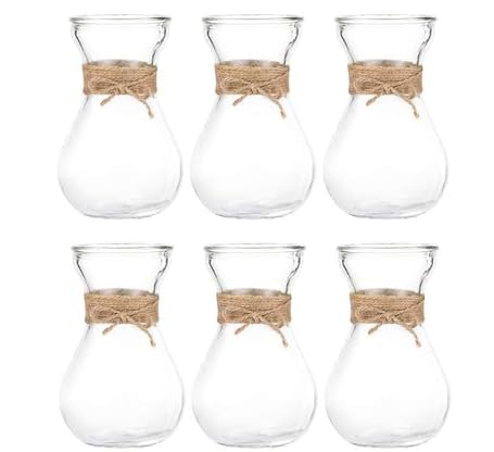 Set mit 6 Vasen aus Hyazinthen-Glas von CheeryStow