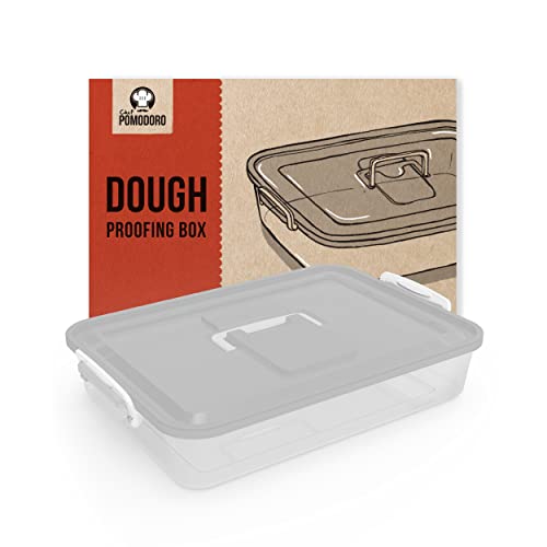 Chef Pomodoro Pizzaballenbox – Pizza Box – Pizzaballenbox mit Deckel – Pizzabox – Pizzateigbehälter –Pizzazubehör – Gärbox - Teigwanne (Grau) von Chef Pomodoro