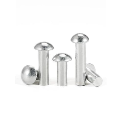 Aluminium-Rundkopfnieten DIN660 – M2 M2,5 M3 M4 M5 M6 M8 for sichere Befestigung(20 M6 x 10mm) von ChegLI