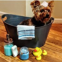 Frisch Gewaschener Welpe Duftkerze von ChenatlinColshat