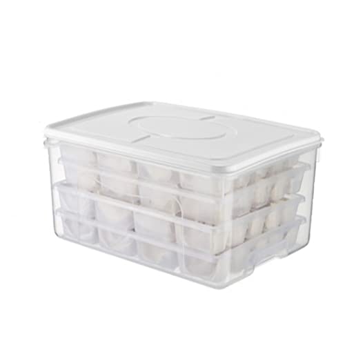 Knödel Aufbewahrungsbox Dumpling Box Kunststoff versiegelt Aufbewahrungsbox Lebensmittelaufbewahrungsbox Kühlschrank Aufbewahrungsbox Schnellgefrorene Knödelbox Wonton Box 80 Fächer 4 Schichten von ChengBeautiful