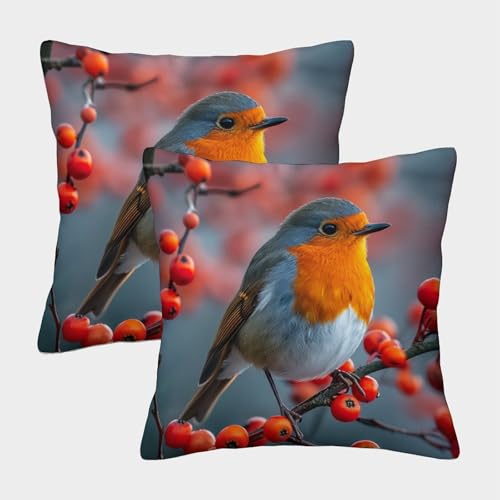 ChengzeTCo Rotkehlchen Kissenbezüge Für Sofa Und Bett, Kissenbezug Im 2er-Set, Perfekt Für Home Decor Und Travel Essential, Maschinenwaschbar 45x45cm von ChengzeTCo