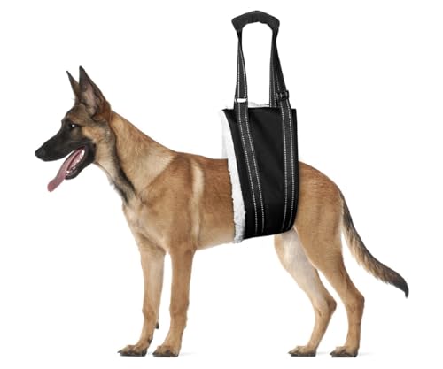 Tragehilfe Einstellbar Gehhilfe Hund, Verstellbare Gehhilfe für Hunde in verschiedenen Größen, Hundegeschirr für die Rehabilitation für behinderte, verletzte oder ältere Hunde von Chenivesss