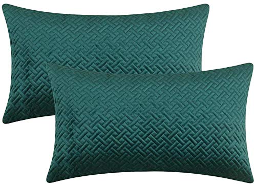 Chenso Dekorative Samt Bett Throw Kissenbezug Sofa Soft lted Muster Komfortable Couch Kissenbezug-Blaugrün_12"x20, 2 Stück von Chenso