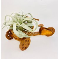 Vintage Dreirad/Fahrrad-Blumentopf - Bewegliche Räder + Drehgriff Korbgeflecht Holz Karnevalsglasschale von ChenuzAtelier