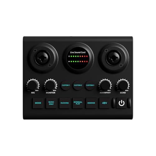 Live-Soundkarte, Doppelmikrofon für professionelle Aufnahme in jeder Umgebung für Sänger, Streamer, Podcaster von Chenxi Studio