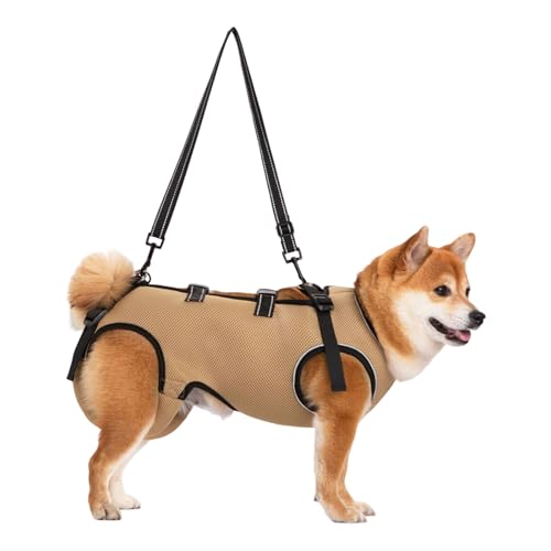 Reflektierendes Hundegeschirr für behinderte Haustiere mit verstellbarer Brust und Polsterung, atmungsaktives Hebegeschirr Reflektierendes Hundegeschirr für behinderte Haustiere mit verstellbarer Brust und Polsterung, atmungsaktives Hebegeschirr von Chenxi Studio