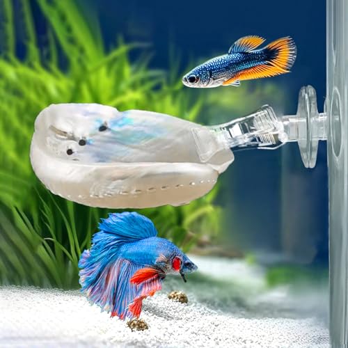Betta Hängematte mit Saugtasche,Handpolierte natürliche Shell Betta Fish Resting Spot House,Aquarium Zubehör Dekorationen Shell Bett für kleine Fische Ruhe und Laichen Zuchtunterstützung (1 PCS) von Chestnut-YX