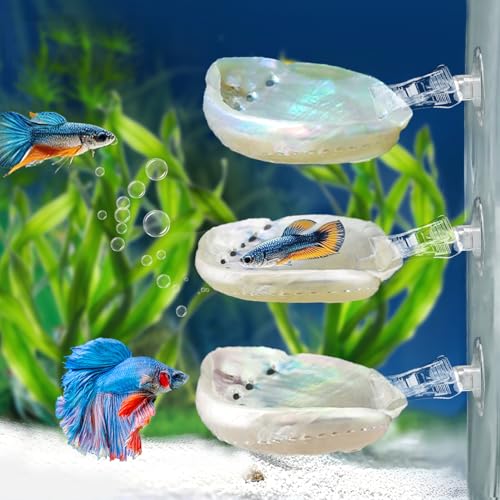 Betta Hängematte mit Saugtasche,Handpolierte natürliche Shell Betta Fish Resting Spot House,Aquarium Zubehör Dekorationen Shell Bett für kleine Fische Ruhe und Laichen Zuchtunterstützung (3 PCS) von Chestnut-YX