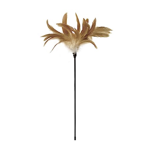 Chevnzev Katzenspielzeug Federstab Kätzchen Teaser Feather Catkins Quaste Interactive Stick Draht Jagdfarbe Farbanpassungsspielzeug Chevnzev Katzenspielzeug Federstab Kätzchen Teaser Feather Catkins Quaste Interactive Stick Draht Jagdfarbe Farbanpassungsspielzeug von Chevnzev