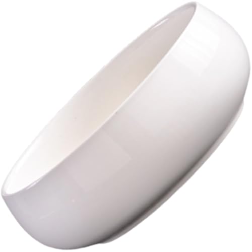 Chevnzev Kreative Hochtemperatur Keramik Pflanzerschale Für Sukkulenten Und Wasseranlage Mit Einzigartigem Glasiertem Finish Home Decoration Water Plant Container von Chevnzev