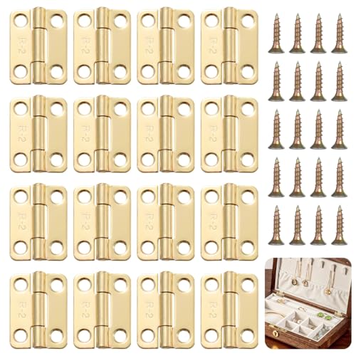 16 Mini Scharniere für Holzbearbeitung, Edelstahl mit 66 Schrauben, vorgebohrt, rostfreie Scharniere für Boxen und kleine Projekte 16 Mini Scharniere für Holzbearbeitung, Edelstahl mit 66 Schrauben, vorgebohrt, rostfreie Scharniere für Boxen und kleine Projekte von Chewtoyo