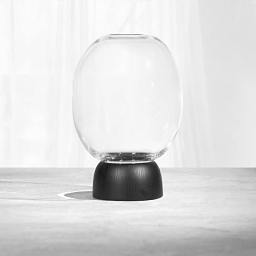 ChiCura Morchella Glas Vase, 18 cm Breite x 27 cm Hoehe, Schwarz/Clear von ChiCura