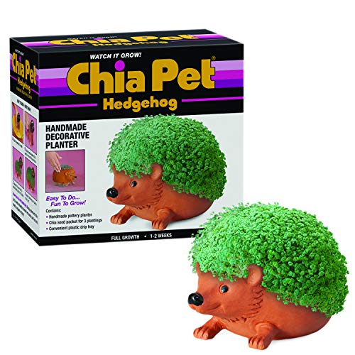 Chia Pet Hedgehog dekorativer Keramik-Übertopf mit Samenpackung, dekorativer Keramik-Pflanzgefäß, einfach zu tun und lustig zu wachsen, Neuheit Geschenk, perfekt für jeden Anlass von Chia