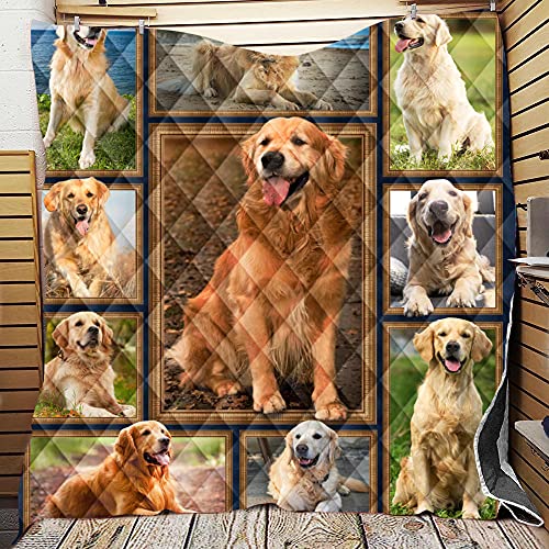 Chickwin 3D Tagesdecke Bettüberwurf Gesteppt, Mikrofaser Tagesdecke Schlafzimmer Steppdecke Decke Überwurf Wohnzimmer Sofaüberwurf für Einzelbett Doppelbett (Golden Retriever,180x200cm) von Chickwin-Shop