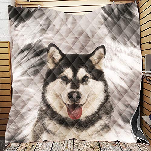 Chickwin Tagesdecke für Einzelbett Mädchen Teenager Tagesdecke Steppdecke Sofaüberwurf Wattiert und Gesteppt Bettüberwurf Kuscheldecke Decke Überwurf Überdecke (Hundedruck,130x150cm) von Chickwin -Shop