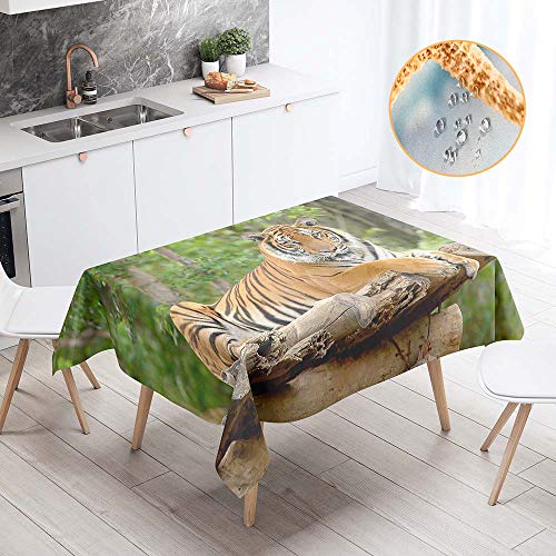 Chickw1 Tischdecke Abwaschbar Polyester, 3D Tiger Tier Drucken Rechteckig Pflegeleicht Wasserdicht Fleckschutz Ölfest für Draußen Garten Tischdek Decoration (100x140cm,Lässiger Tiger) von Chickwin