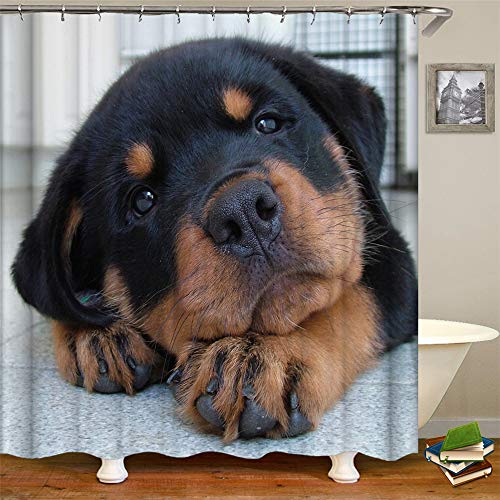 Chickwin Duschvorhang Anti-Schimmel & Wasserdicht, 3D Netter Haustierwelpe Muster Dekoration Duschvorhang mit 12 Duschvorhangringe für Badezimmer (180x180cm,Rottweiler) von Chickwin