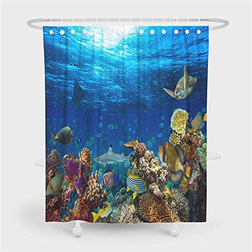 Chickwin Duschvorhang Wasserdicht Anti-schimmel, Waschbar Mode 3D Unterwasserwelt Druck Polyester Bad Vorhang mit 12 Duschvorhangringe für Badezimmer Decor (Blue Turtle,165x180cm) von Chickwin