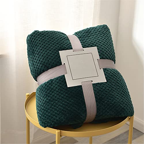 Chickwin Einfarbig Kuscheldecke Flauschig Weiche Wohndecke Flanelldecke Warm Winter Fleecedecke Couchdecke Sofaüberwurf Bettüberwurf TV Decke - 15 Farben (200x230cm,Dunkelgrün) von Chickwin