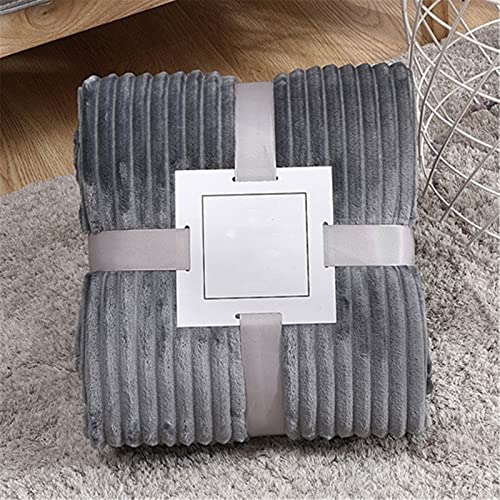 Chickwin Einfarbig Kuscheldecke Flauschige Warm Winter Flanelldecke Weiche Fleecedecke Wohndecke Couchdecke Sofaüberwurf Bettüberwurf TV Decke (120x200cm,Hellgrau) von Chickwin