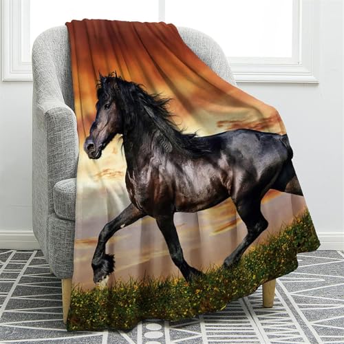 Chickwin Flanell Kuscheldecke, 3D Pferd Muster Fleecedecke Flanelldecke Kinder Erwachsene Flauschig Warm Wohndecke Sofaüberwurf Decke Wohnzimmerdecke Sofadecke (150x200cm,Sonnenuntergangsglühen) von Chickwin