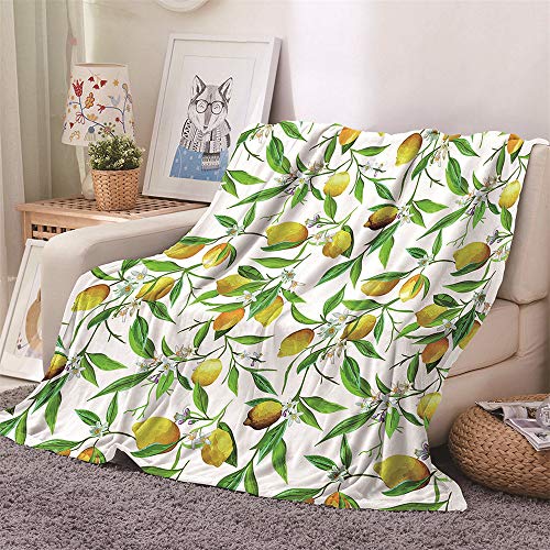 Chickw1 Flanelldecke Kuscheldecke, Zitrone Super Soft Weiche Wohndecke Warm Flauschige Decke TV-Decke Mikrofaserdecke Sofadecke oder Bettüberwurf Tagesdecke- Pflegeleicht (Zitrone B,160x200cm) von Chickwin