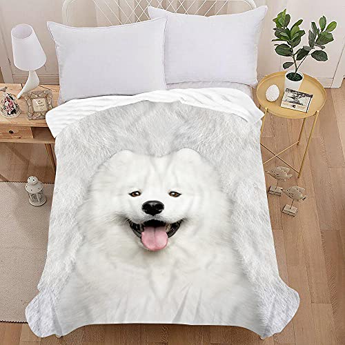 Chickwin Kuscheldecke Flauschig, 3D Süßer Hund Wohndecke Flanelldecke Weiche Soft Warm TV-Decke Mikrofaser Sofadecke Couchdecke Bettüberwurf Tagesdecke (Samojede,150x130cm) von Chickwin