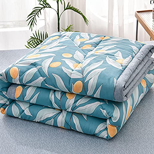 Chickwin Tagesdecke Bettüberwurf Gesteppt, Einfach Blumen Tagesdecke Schlafzimmer Steppdecke Decke Überwurf Wohnzimmer Sofaüberwurf für Einzelbett Doppelbett (100x150cm,Blauer See) von Chickwin