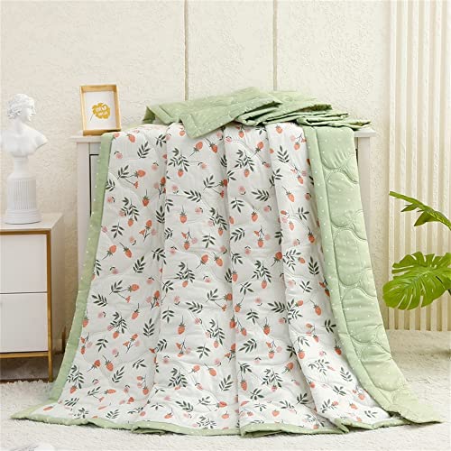 Chickwin Tagesdecke Bettüberwurf Weiche Mikrofaser Sommerdecke und Steppdecke Einzel Doppel Wohndecke für Sofaüberwurf Kuscheldecke Überdecke (150x200cm,Erdbeere) von Chickwin