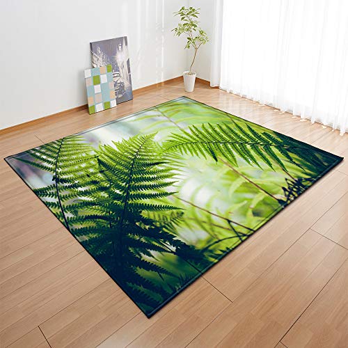 Chickwin Teppich Wohnzimmer Outdoor Weiche Antirutschunterlage Kurzflor Blumen Landschaft Teppiche Moderne für Schlafzimmer Kinderzimmer Küche Terrasse Schlafzimmer (40x60cm,Grünes Gras) von Chickwin