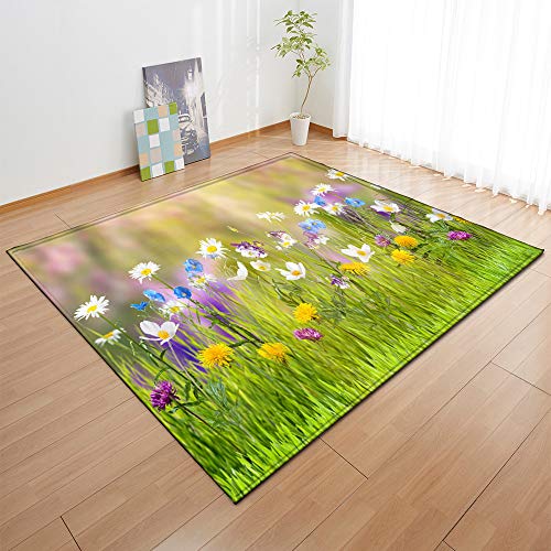 Chickwin Teppich Wohnzimmer Outdoor Weiche Antirutschunterlage Kurzflor Blumen Landschaft Teppiche Moderne für Schlafzimmer Kinderzimmer Küche Terrasse Schlafzimmer (50x80cm,Garten Blumen) von Chickwin