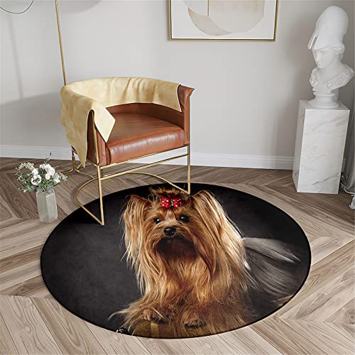 Chickwin Teppich für Wohnzimmer Rund, Hund Muster rutschfeste Teppiche Flanell Flauschig Weich Moderne Fußmatte für Schlafzimmer Kinderzimmer Küche (Yorkshire-Terrier,Durchmesser 80cm) von Chickwin