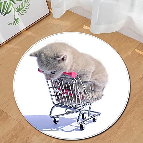 Chickwin Teppiche für Wohnzimmer Rund, Tier Drucken Teppich Modern Schlafzimmer Groß Flanell Flauschig Weich rutschfest Fußmatte Waschbar für Kinderzimmer (Katze Muster,Durchmesser 90cm) von Chickwin